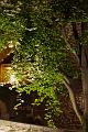 nocturne_022
